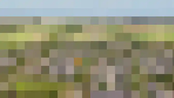 Boterbloem 1 Culemborg thumbnail 43