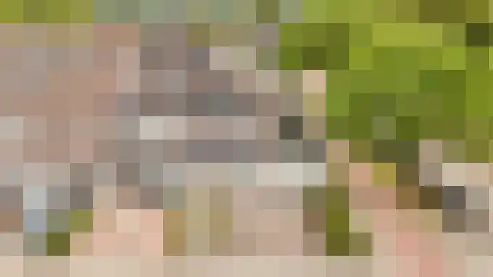 Boterbloem 1 Culemborg thumbnail 6
