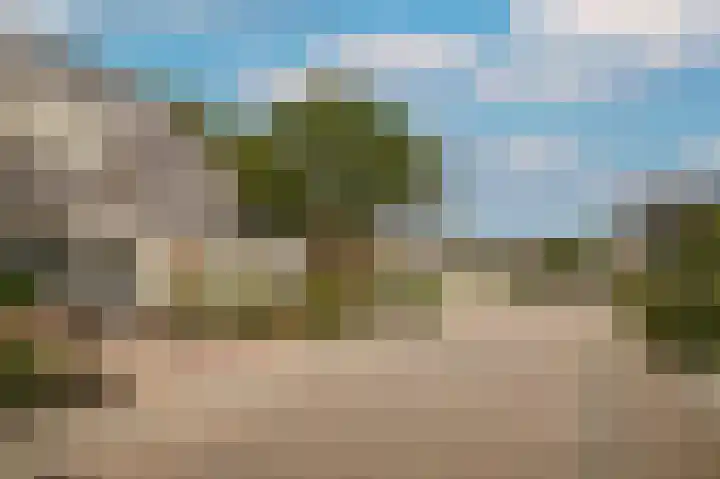 Boterbloem 1 Culemborg thumbnail 7