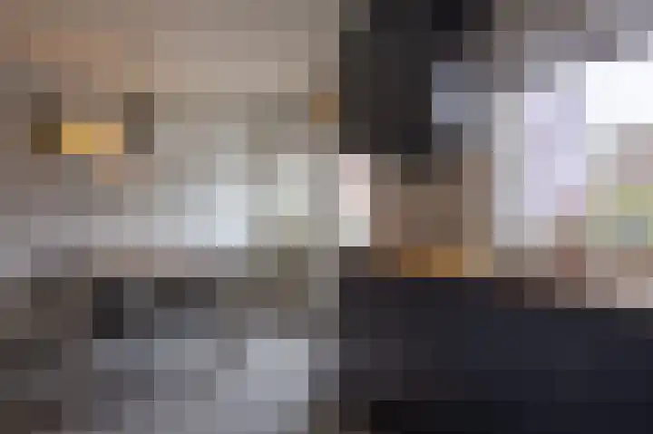 Boterbloem 111 Zwaag thumbnail 12