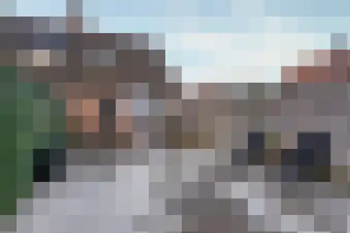 Boterbloem 111 Zwaag thumbnail 14