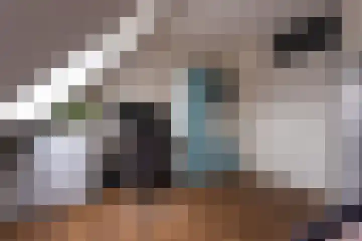 Boterbloem 111 Zwaag thumbnail 21
