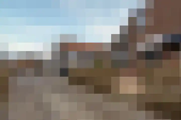 Boterbloem 111 Zwaag thumbnail 27