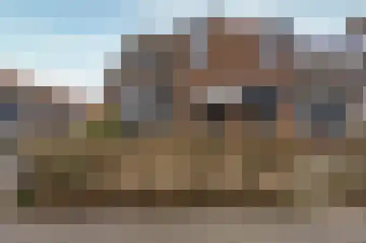 Boterbloem 111 Zwaag thumbnail 6