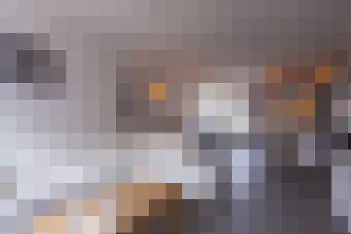 Boterbloem 111 Zwaag thumbnail 8