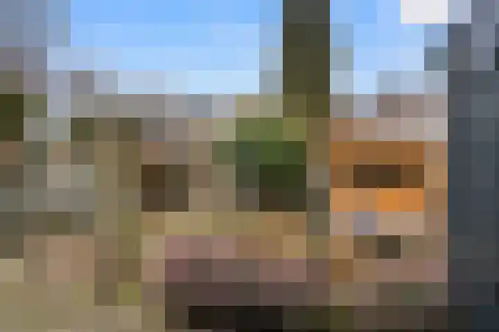 Boterbloem 12 Bennekom thumbnail 10