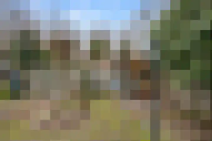 Boterbloem 12 Bennekom thumbnail 11