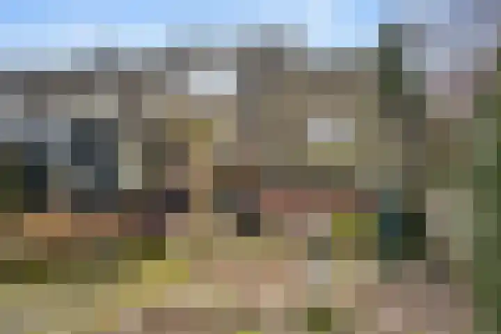Boterbloem 12 Bennekom thumbnail 6