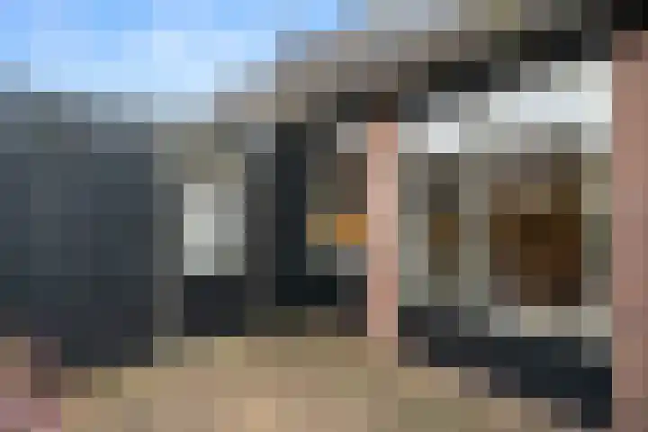 Boterbloem 12 Bennekom thumbnail 8