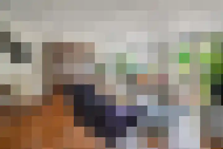 Boterbloem 12 Hardenberg thumbnail 12