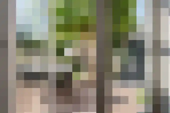 Boterbloem 12 Hardenberg thumbnail 15