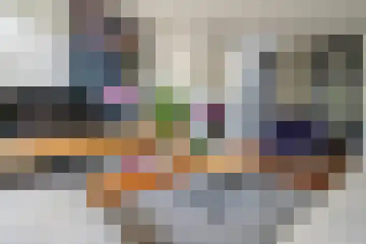 Boterbloem 12 Hardenberg thumbnail 17