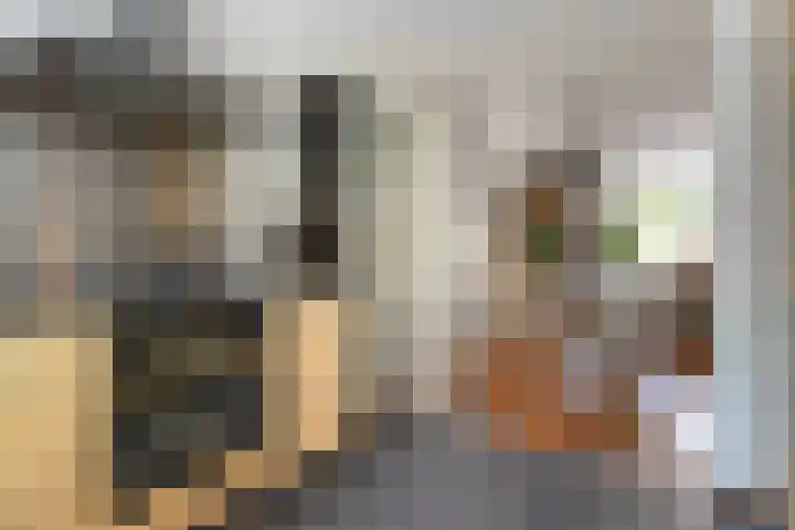 Boterbloem 12 Hardenberg thumbnail 20