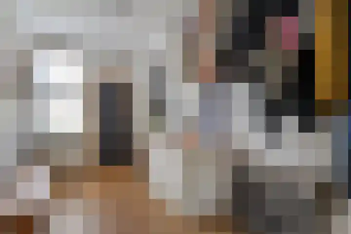 Boterbloem 12 Hardenberg thumbnail 27