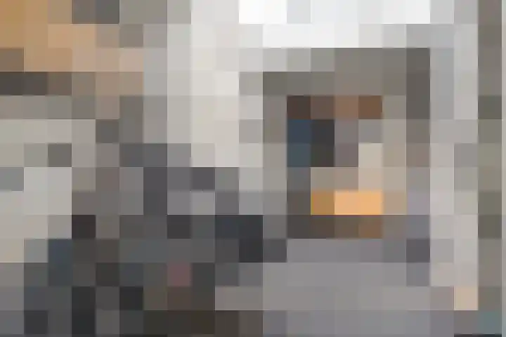 Boterbloem 12 Hardenberg thumbnail 37