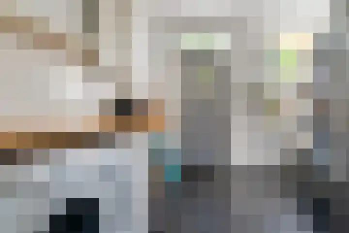 Boterbloem 12 Hardenberg thumbnail 38