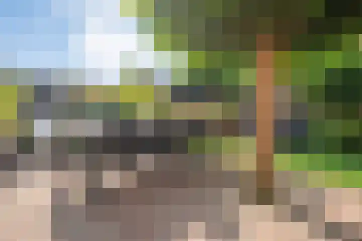 Boterbloem 12 Hardenberg thumbnail 40