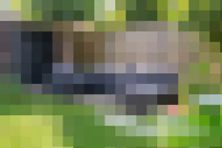 Boterbloem 12 Hardenberg thumbnail 41