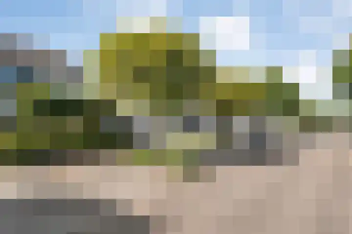 Boterbloem 12 Hardenberg thumbnail 5