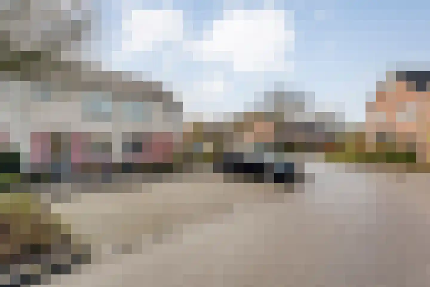 Boterbloem 126 Hardenberg thumbnail 4