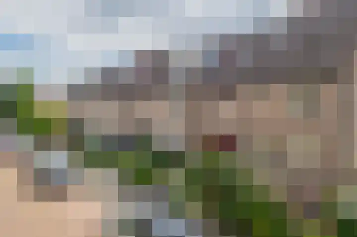 Boterbloem 3 Bergambacht thumbnail 27