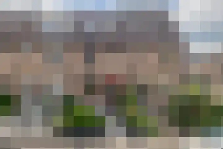 Boterbloem 3 Bergambacht thumbnail 42