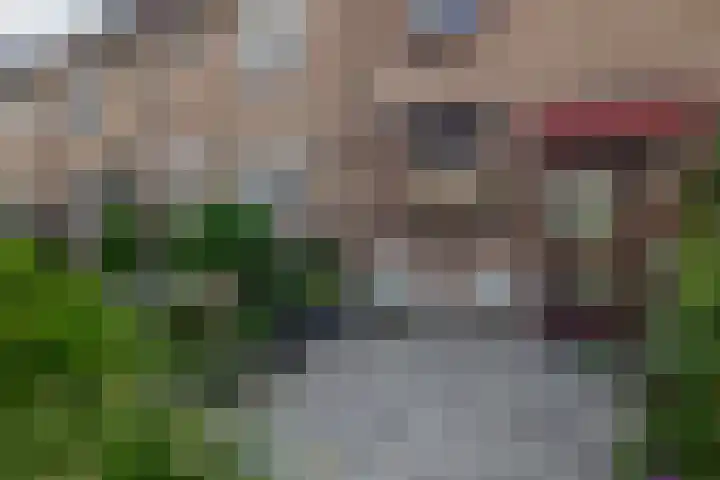 Boterbloem 3 Bergambacht thumbnail 6