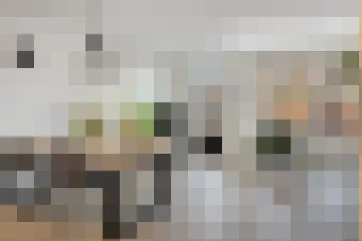 Boterbloem 4 Bergambacht thumbnail 10