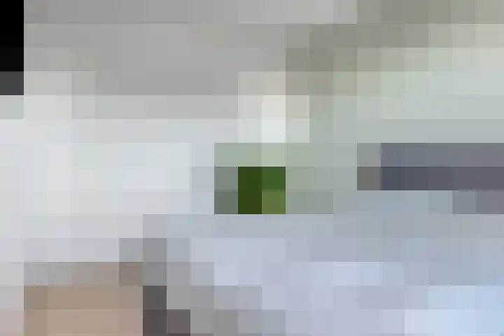 Boterbloem 4 Bergambacht thumbnail 18