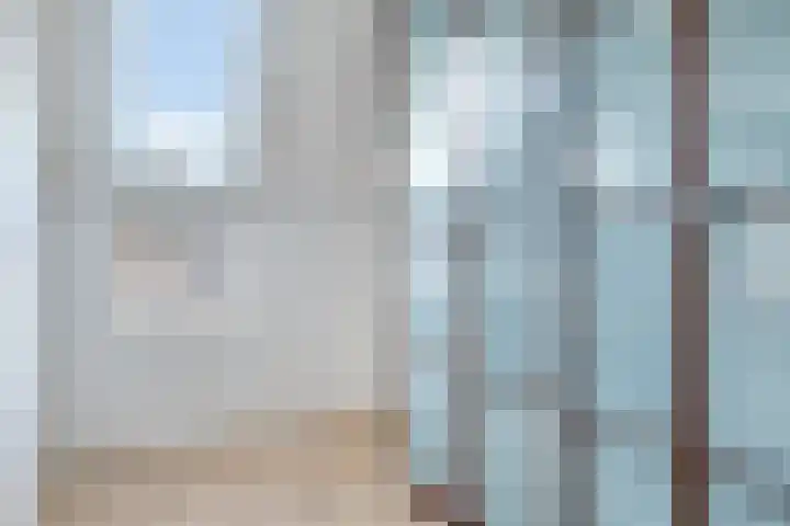 Boterbloem 4 Bergambacht thumbnail 20