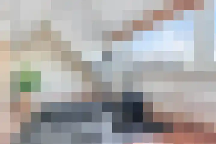 Boterbloem 4 Bergambacht thumbnail 24