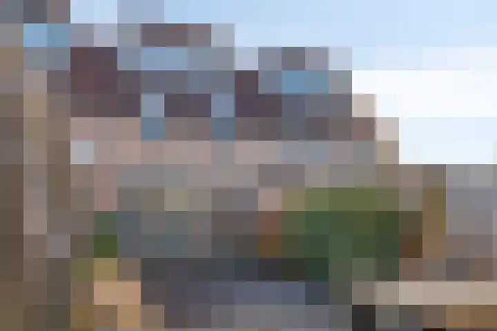 Boterbloem 4 Bergambacht thumbnail 26