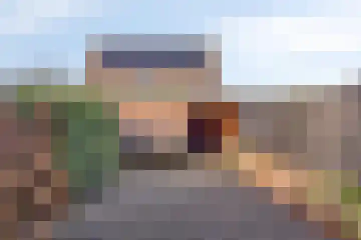 Boterbloem 4 Bergambacht thumbnail 27