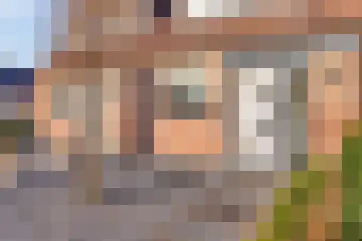 Boterbloem 4 Bergambacht thumbnail 4