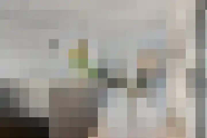 Boterbloem 4 Bergambacht thumbnail 6