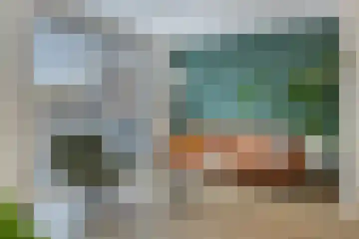 Boterbloem 4 Bergambacht thumbnail 8