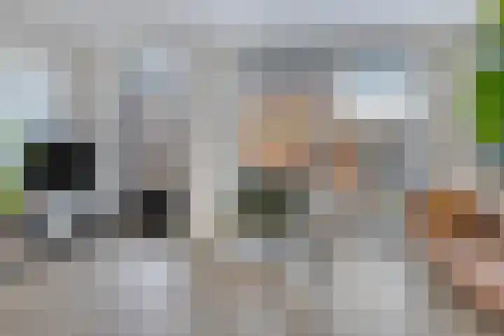 Boterbloem 4 Bergambacht thumbnail 9