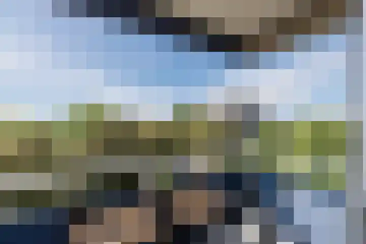 Boterbloem 43 Uithoorn thumbnail 18