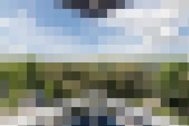 Boterbloem 43 Uithoorn thumbnail 19