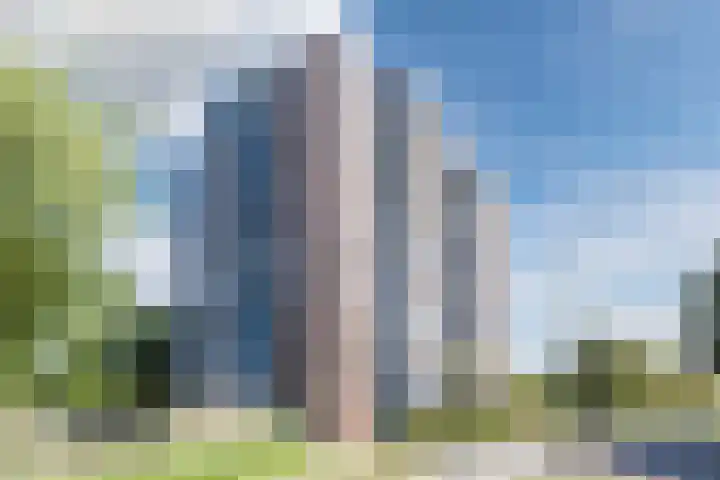 Boterbloem 43 Uithoorn thumbnail 24