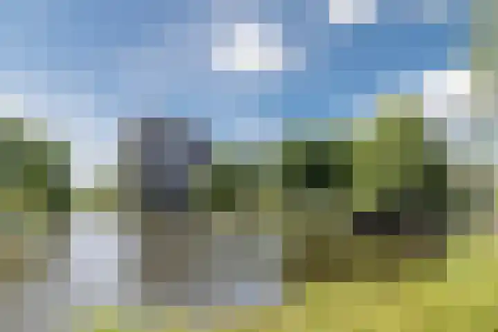 Boterbloem 43 Uithoorn thumbnail 26