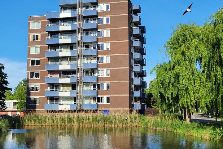 Boterbloem 75 in Uithoorn foto