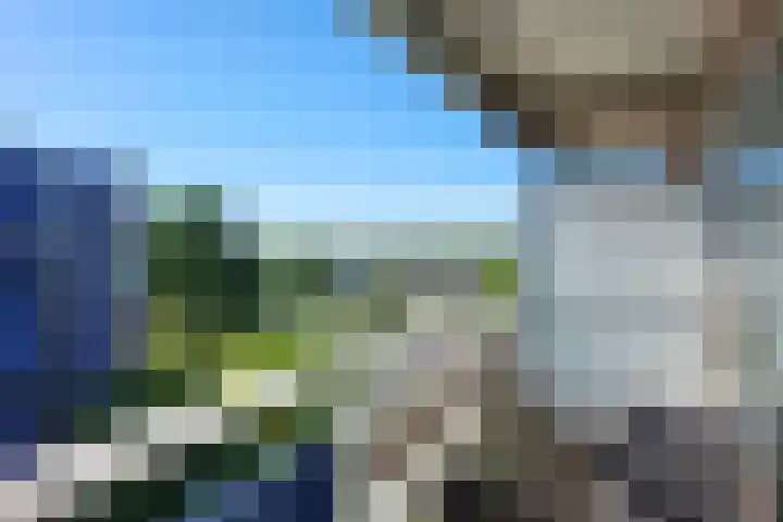 Boterbloem 75 Uithoorn thumbnail 8