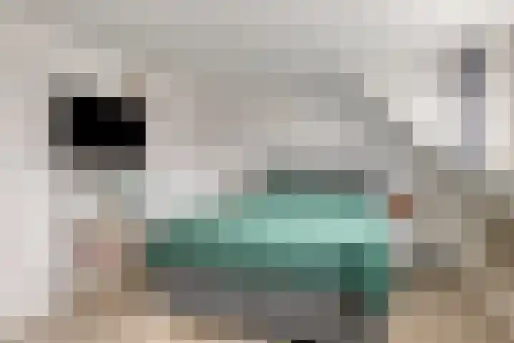 Boterbloem 75 Zwaag thumbnail 5