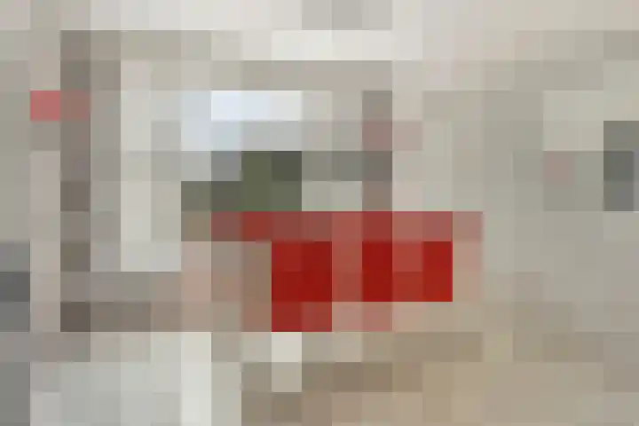Boterbloem 8 Rotterdam thumbnail 11