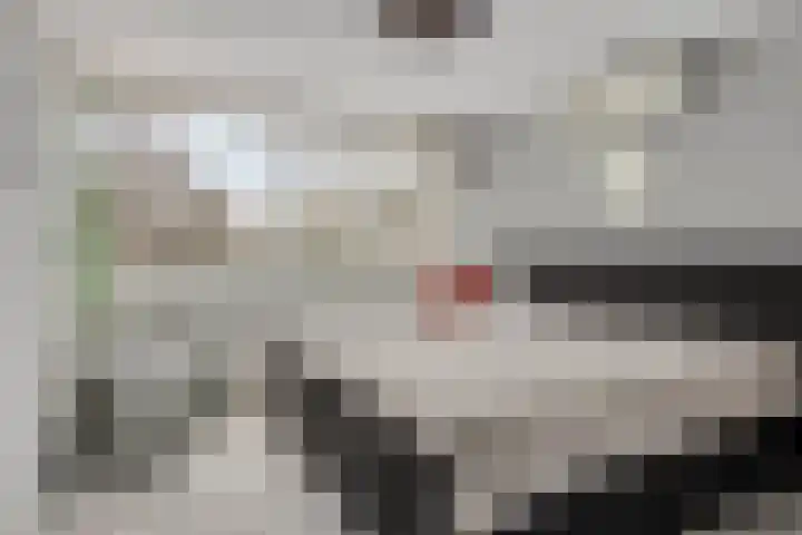 Boterbloem 8 Rotterdam thumbnail 19