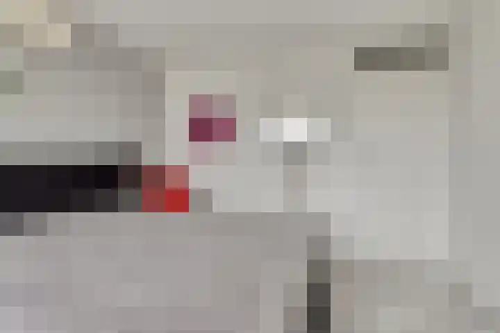 Boterbloem 8 Rotterdam thumbnail 20