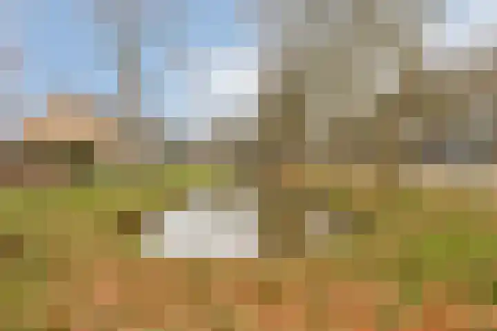 Boterbloem 8 Rotterdam thumbnail 28
