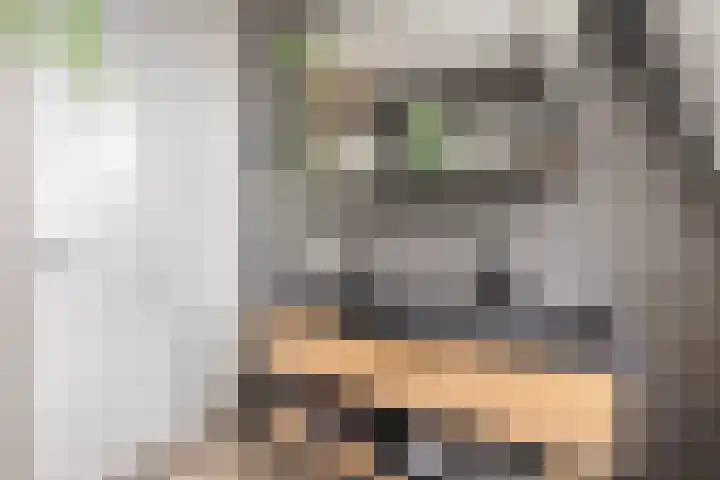 Boterbloem 9 't Veld thumbnail 23