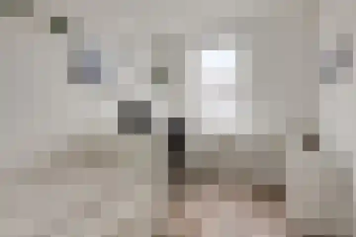 Boterbloem 9 't Veld thumbnail 24